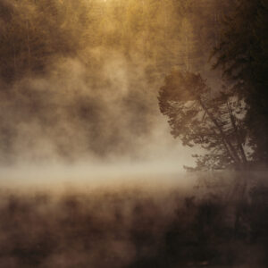 Le Souffle de la brume