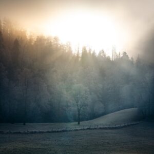 Le givre — Combe, soleil d'hiver